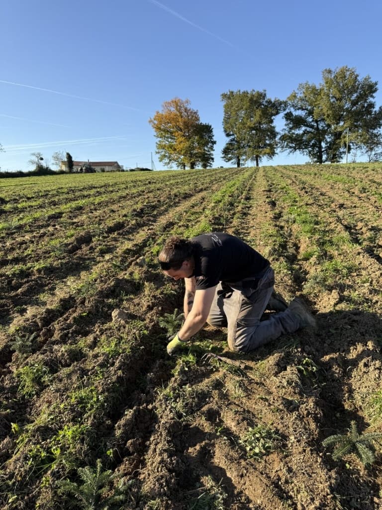 Comment préparer son jardin pour le printemps